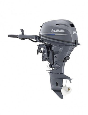 Yamaha FT25