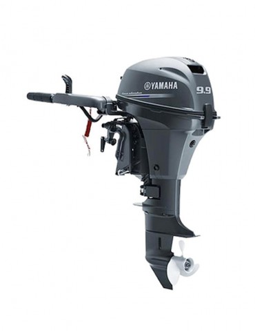 Yamaha FT9.9
